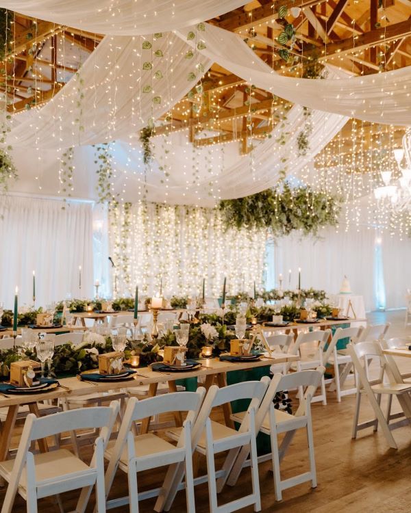 Fairy Light Canopy